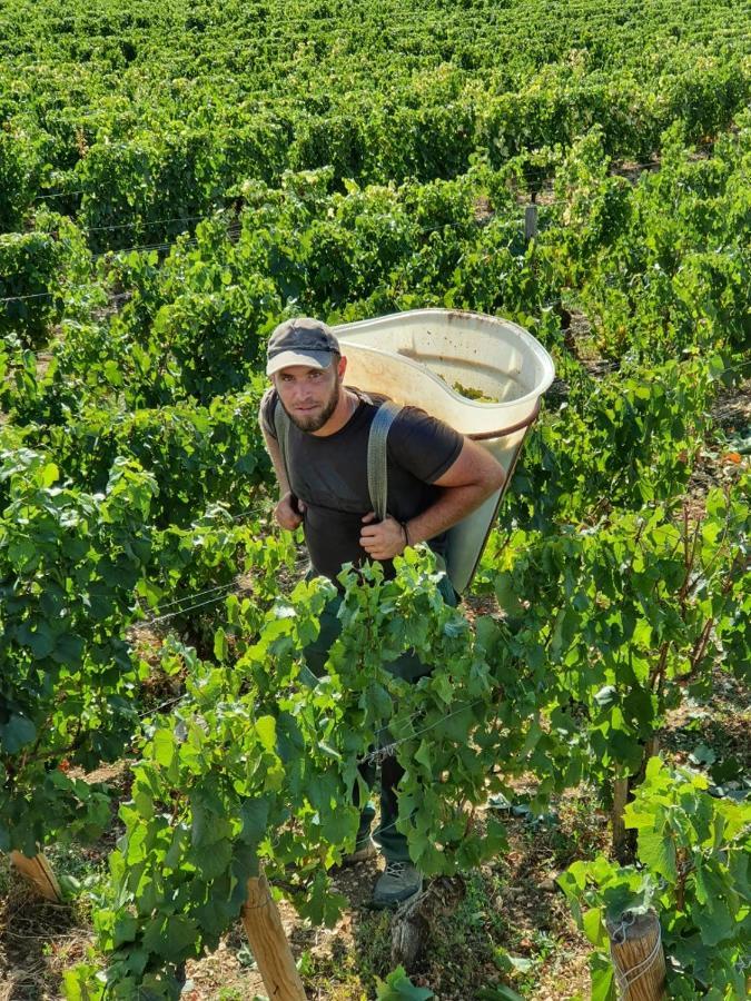 La Fruitiere Lejlighed Chaudenay Eksteriør billede
